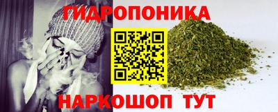 тгк Будённовск